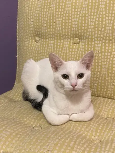 Lenny