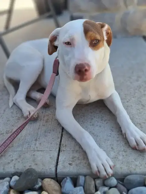 Sally