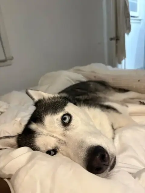 Zoey photo 2