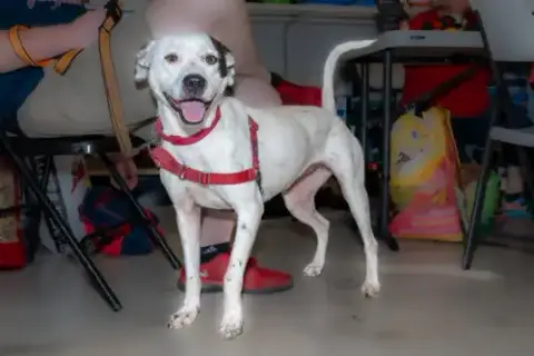 Nellie photo 3