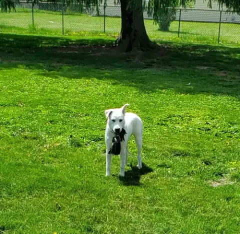 Elena photo 3