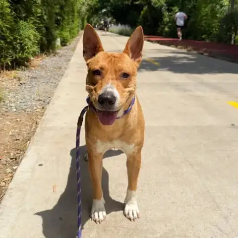 Frankie photo 2