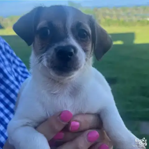 Maddie