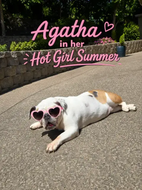 Agatha photo 2