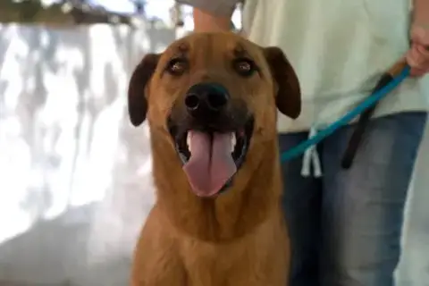 Buster photo 2