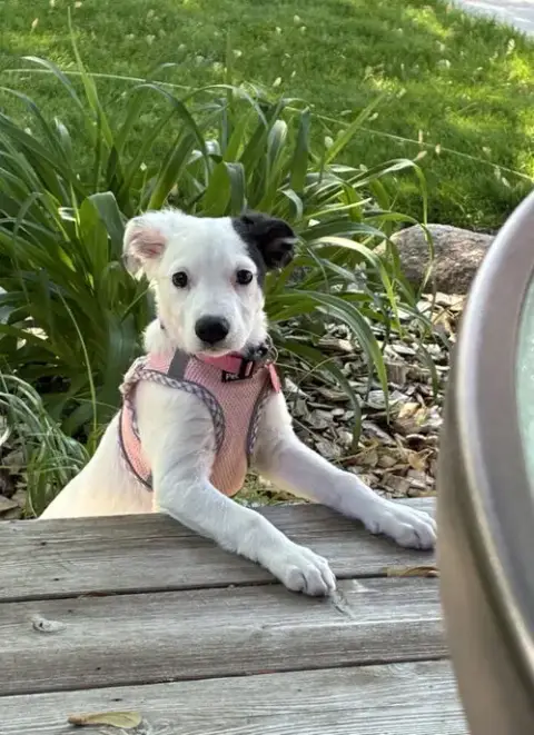 Lola May photo 3
