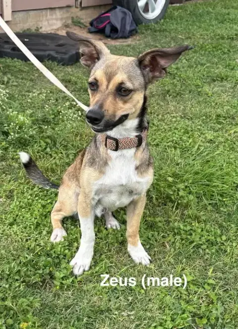 Luna And Zeus photo 3