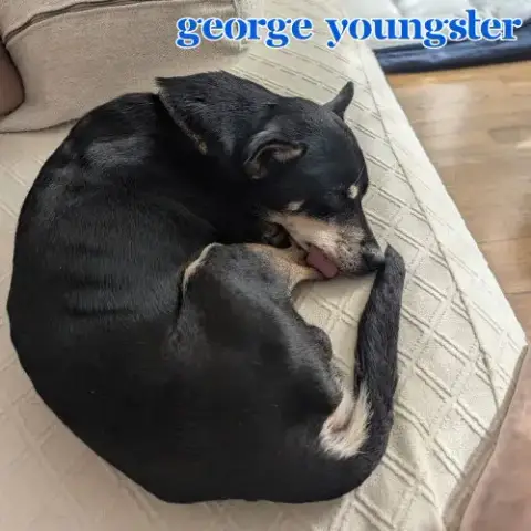 George Youngster photo 4