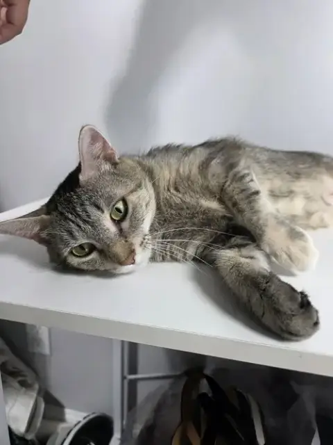 Freya photo 3