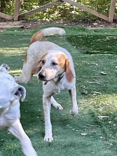 Tuck photo 5