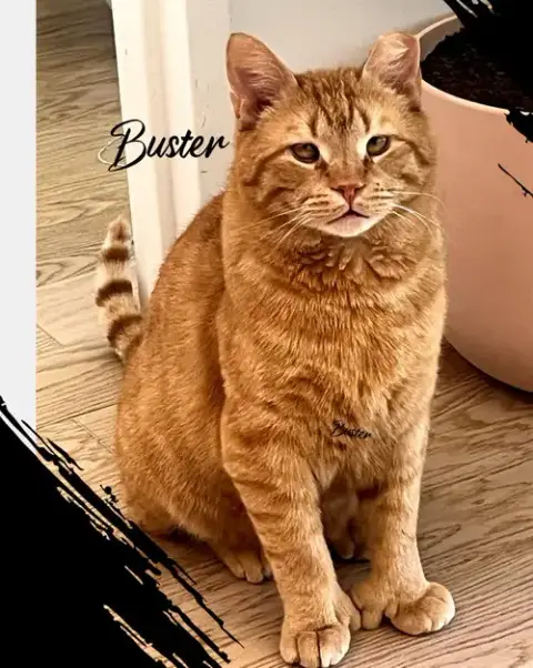Buster photo 3