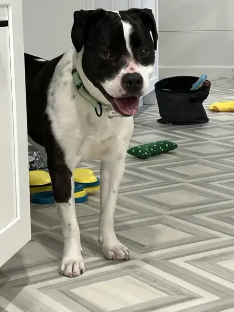 Daisy June photo 4