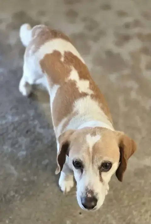 Penny photo 3