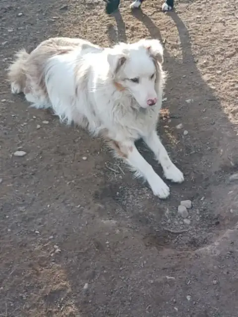 Riley photo 3