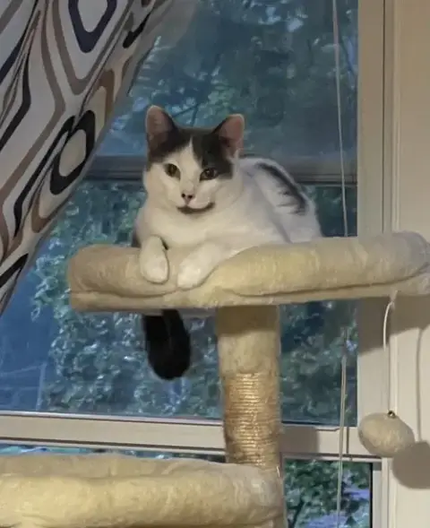 Merryweather