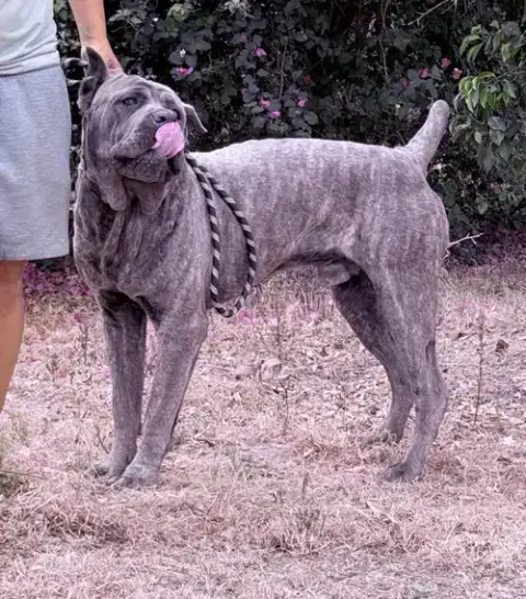 Max photo 4