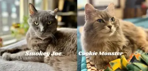 Smokey Joe / Cookie Monster photo 2