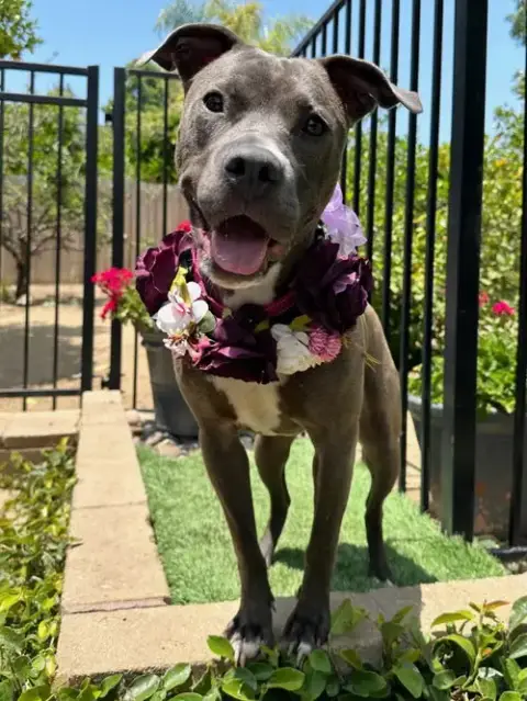 Jada photo 2