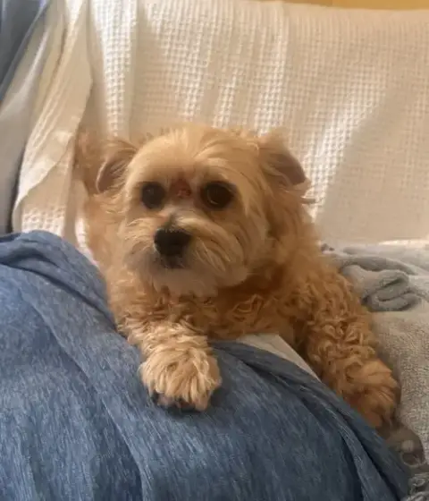 Mya photo 3