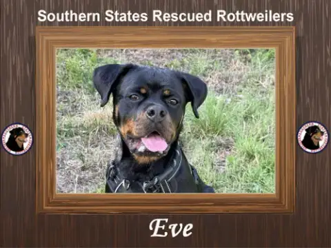 Eve