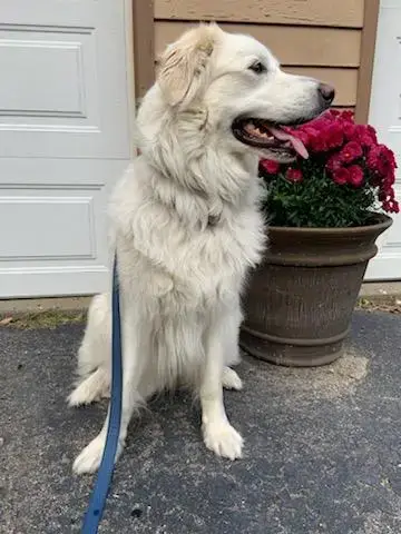 Sadie In Nh(Sponsored!) photo 5