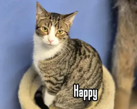 Happy photo 4