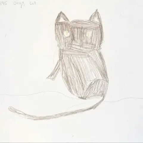Onyx photo 4
