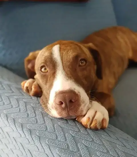 Kiki photo 3