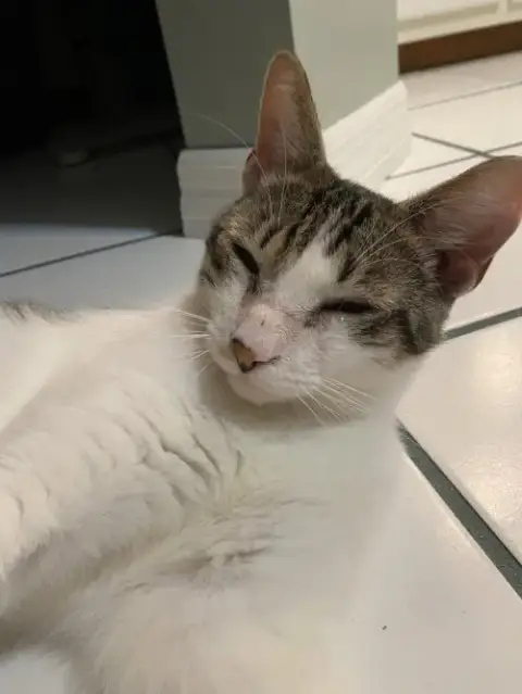 Diaz
