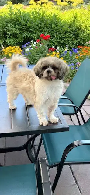 Marnie photo 4