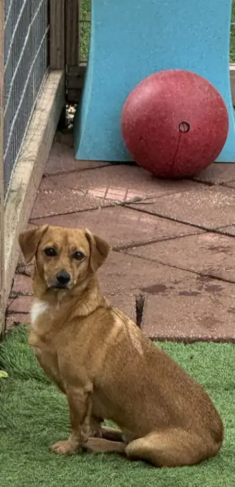Skippy photo 3