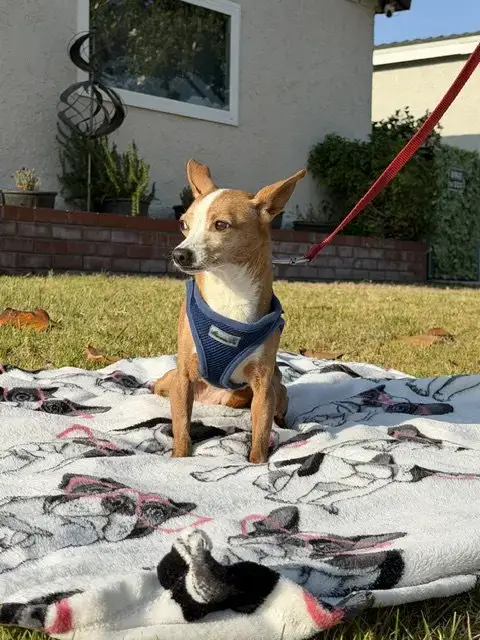 Sandy photo 3