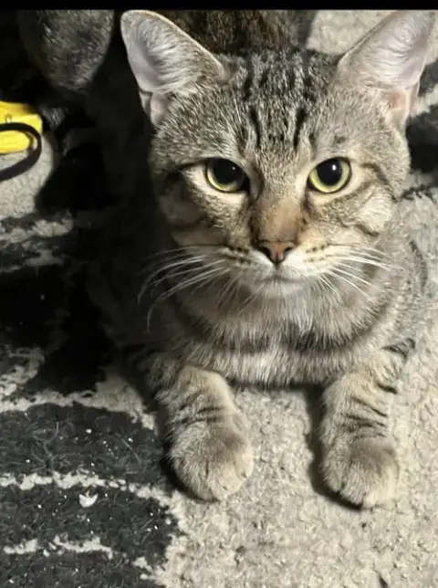 Margot photo 3