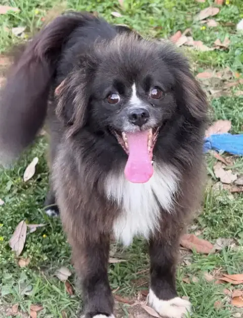 Precious