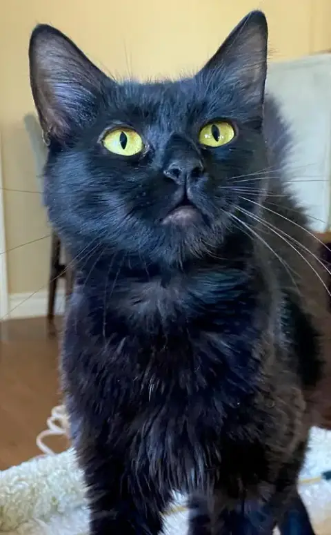 Mama