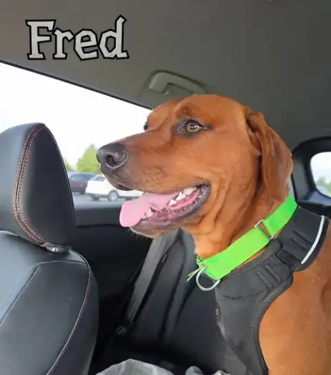 Fred photo 4