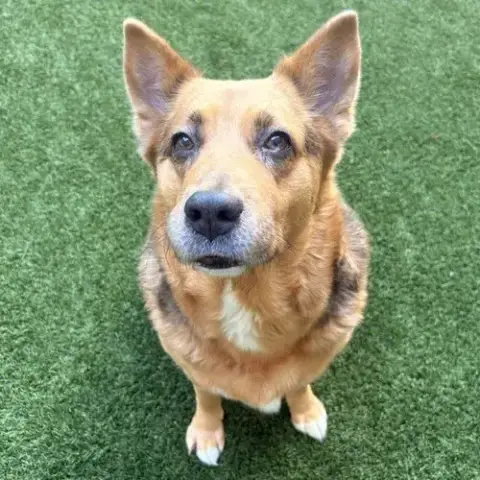 Mako The Senior! photo 2
