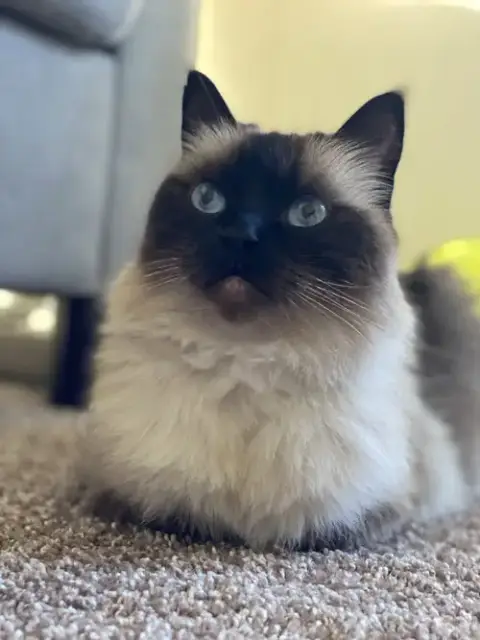 Mikko #1879