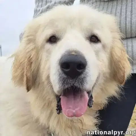 Max In Ct