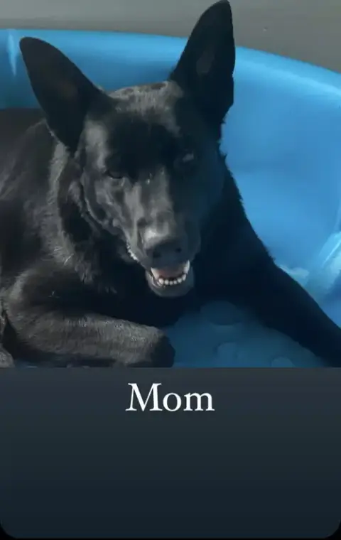 Molly photo 4