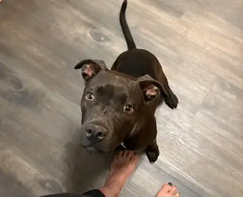 Mocha