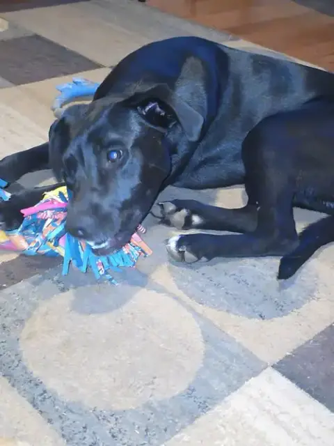 Jax photo 2