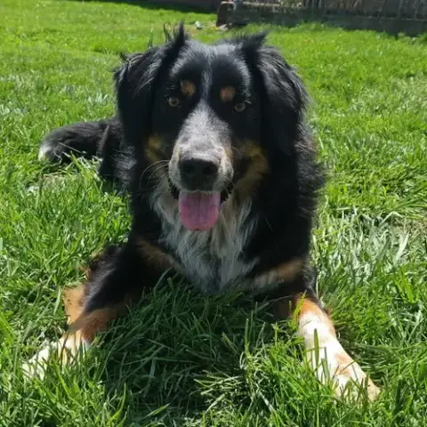 Osiris photo 3