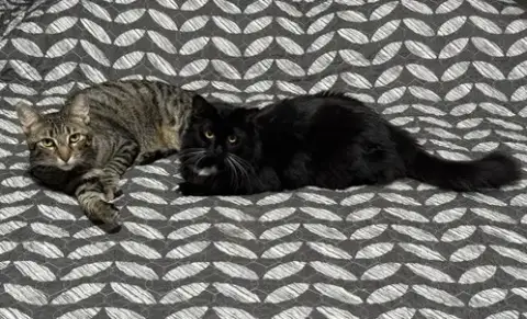 Oliver And Lucy photo 2