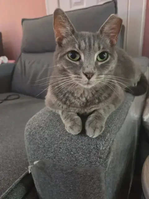 Olivia