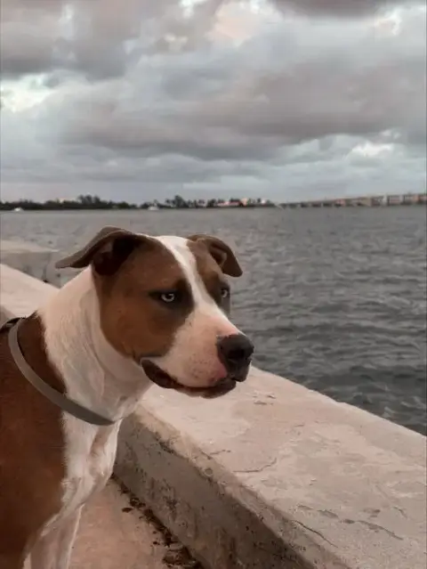 Courtesy Post: Tsuki
