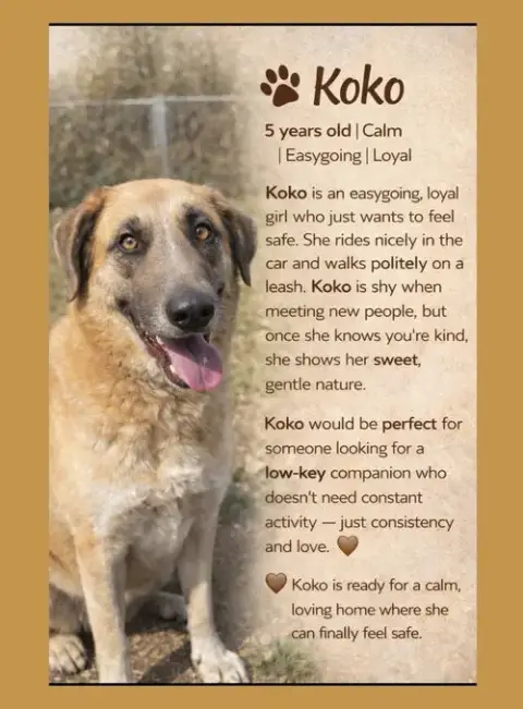 Koko