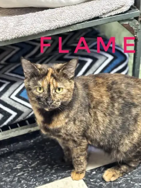Flame