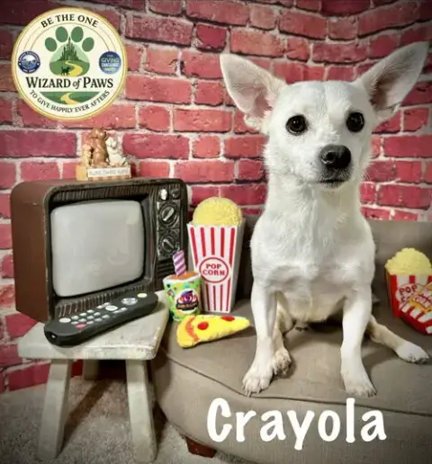 Crayola