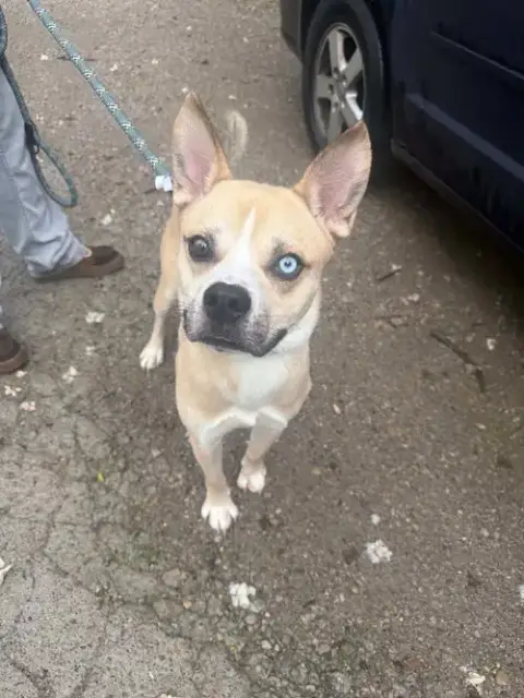 Marley